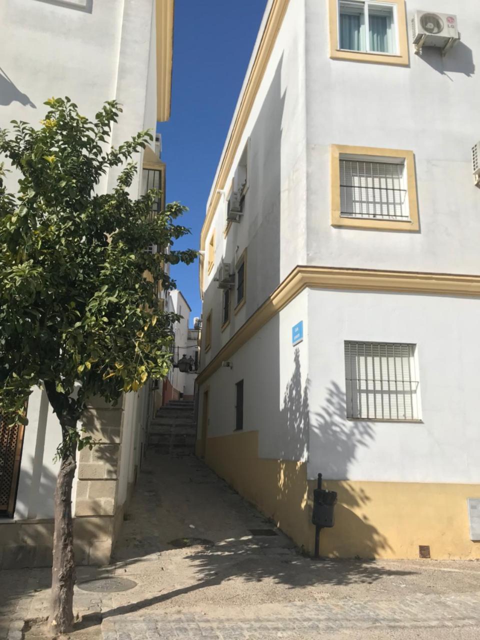 Apartamento !!Vive Jerez!! Jerez de la Frontera Exteriér fotografie