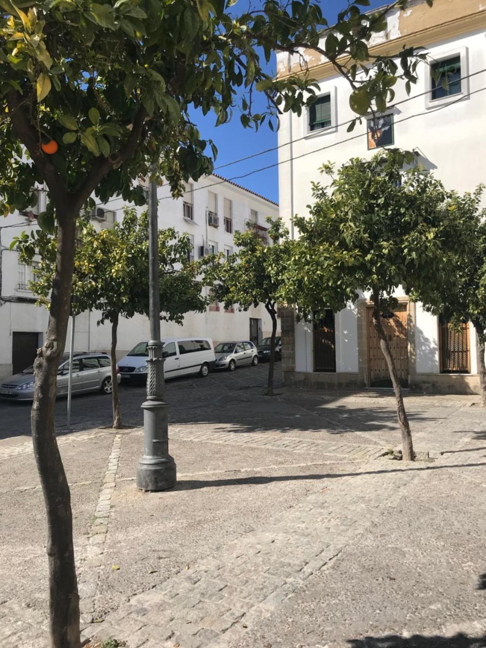 Apartamento !!Vive Jerez!! Jerez de la Frontera Exteriér fotografie